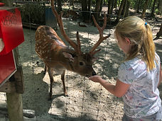IMG_6866.jpeg