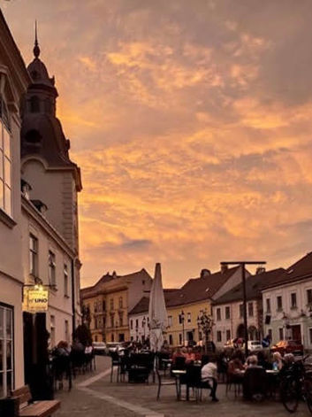 Gastgarten, Numero Uno Kulinarik & Getränke für Wien, NÖ & Mödling: kleine, feine Cafe- und Weinbar mit Flair. Genießen Sie italienische Spezialitäten und köstliche Eiskreationen. NEU: Agapen, exklusive Feiern & Brötchen bestellen.