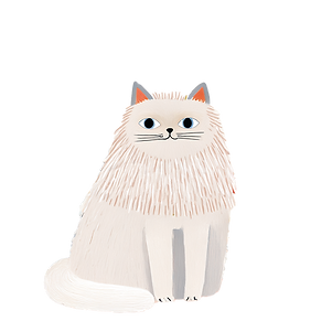 chat.png