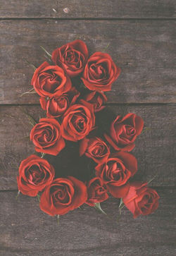tumblr_ng21qiqI541to5xfco1_400