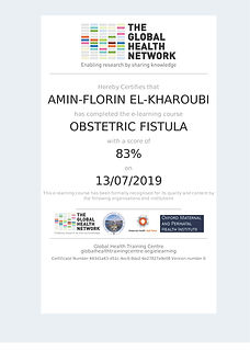 fistula ginecologica
