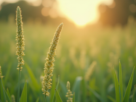 Infectia vaginala cu candida: Cauzele reaparitiei si metode eficiente de tratament