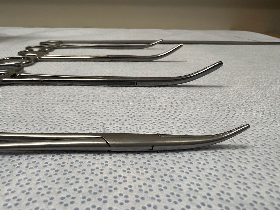 Thumbnail: Lot Of 4 Surgical Up-Angled Serrated Forceps