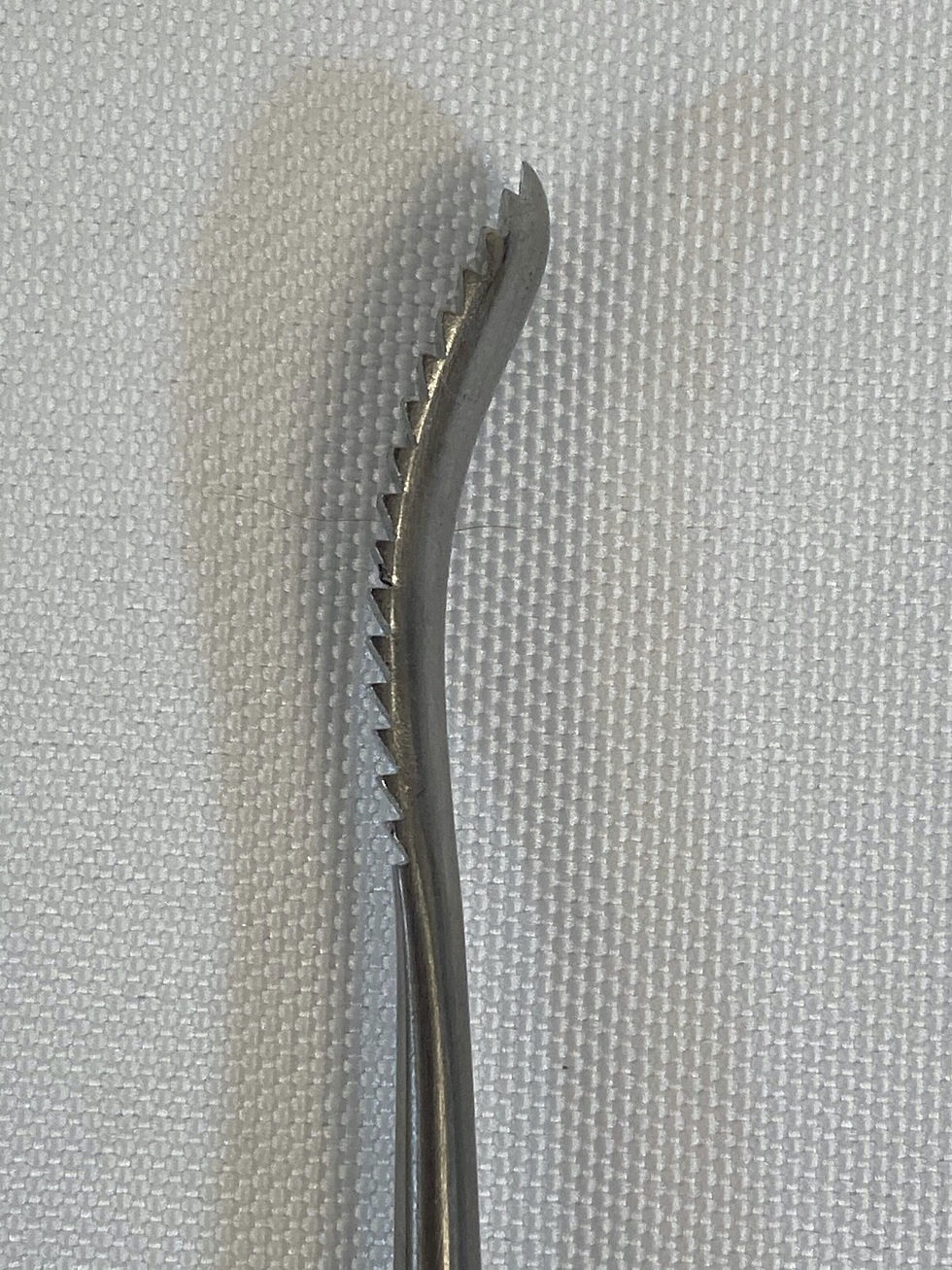 Beals Rasp Ent Miltex MH21-346 Glabellar Rasp MeisterHand Aufricht 21cm Forward ...