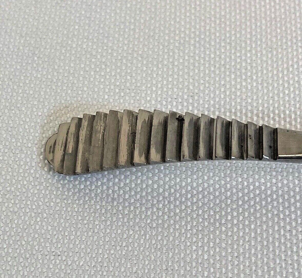 Beals Rasp Ent Miltex MH21-346 Glabellar Rasp MeisterHand Aufricht 21cm Forward ...