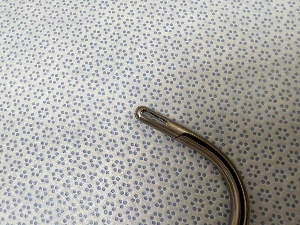 Thumbnail: V. Mueller GU8743 Surgical Lawton Randall Forceps