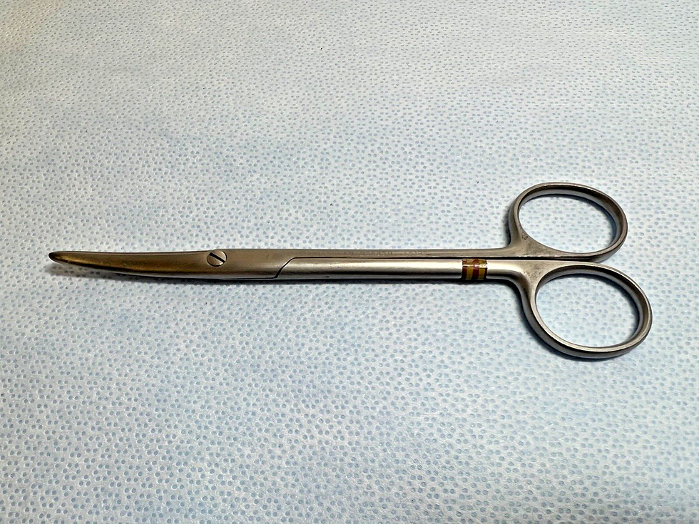 Thumbnail: Aesculap BC587R Curved Mayo Dissecting Scissors