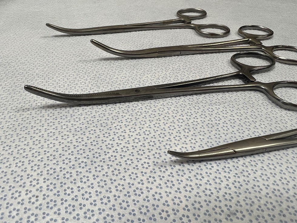 Thumbnail: Lot Of 4 Surgical Up-Angled Serrated Forceps