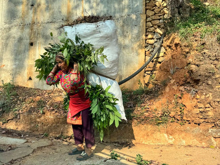 Momentum, Challenges, and Purpose : Day 6