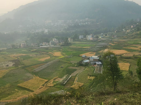 Finishing Strong and Giving Thanks: Day 8