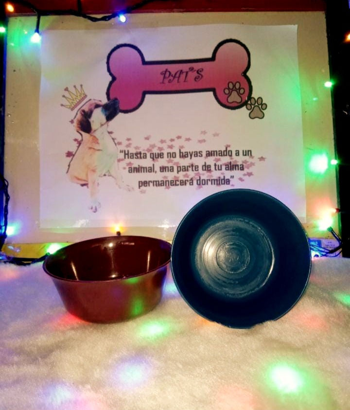 Plato pequeño