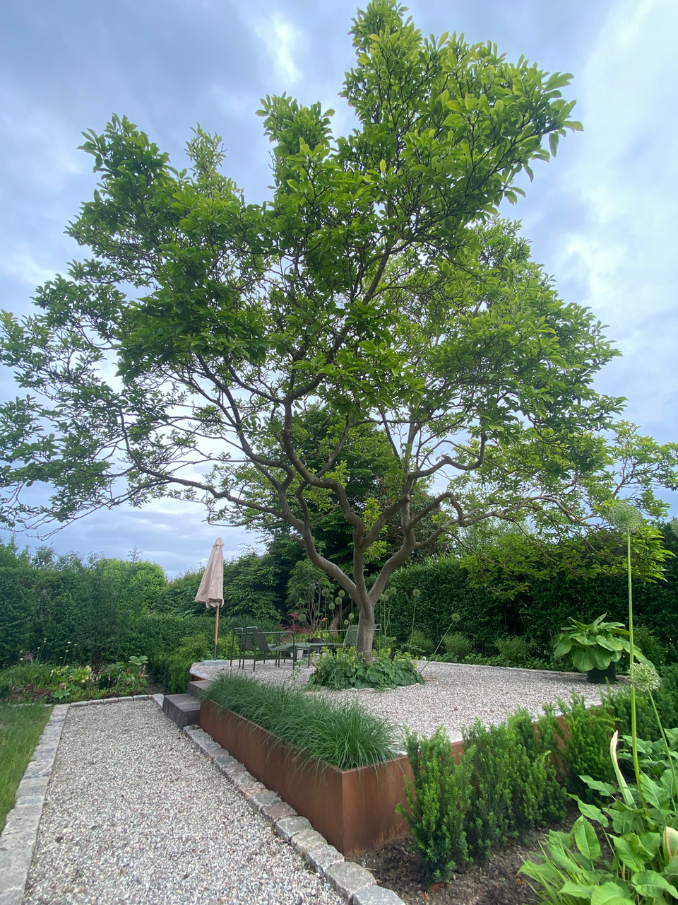 Uteplats, grusyta. Stödmur i corten. Planteringar. Markarbete.