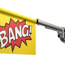 Firearm Ownership and Use