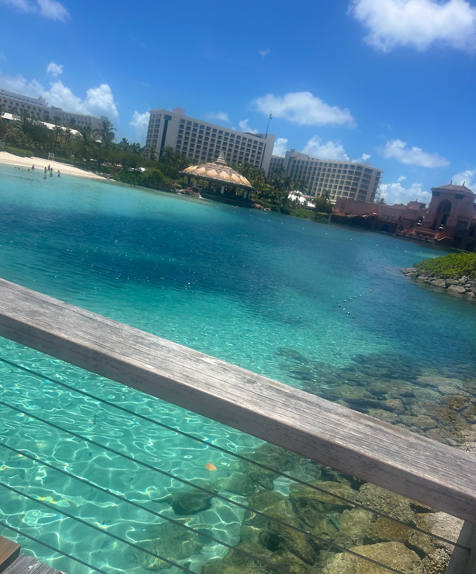 Screenshot 2025-10-24 at 9.59.09 PM