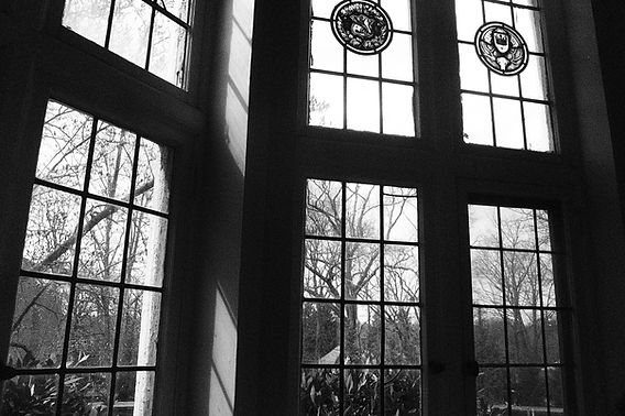 P1070622.jpeg