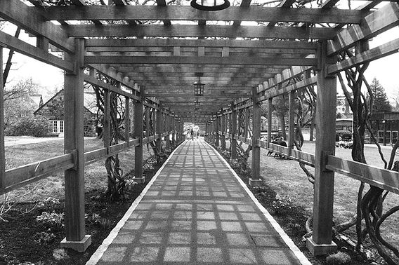 P1070617.jpeg