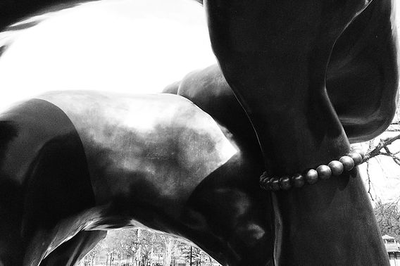 P1070435.jpeg