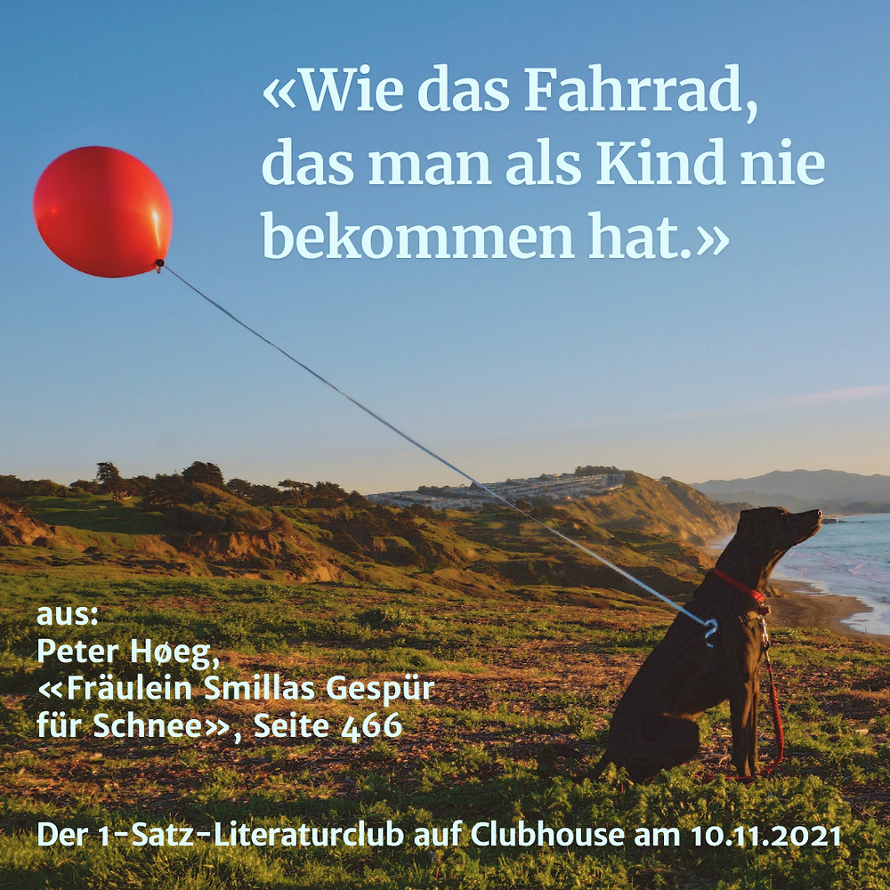 1-Satz-Literaturclub 1SLC Lakritza Judith Niederberger Peter Høeg Fräulein Smillas Gespür für Schnee