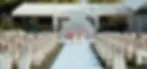 introbanner.webp