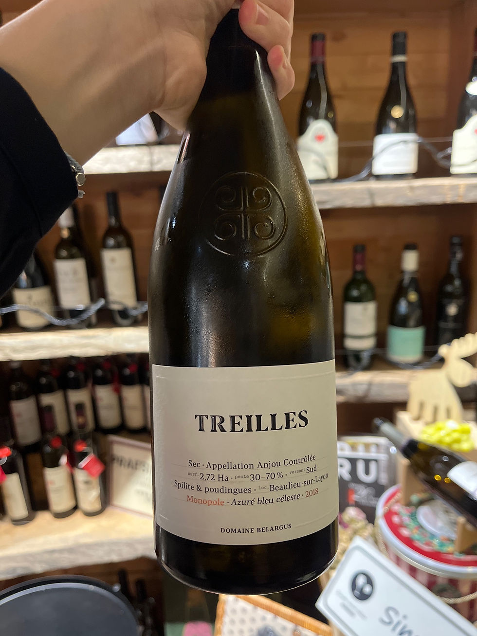 Anjou Treilles Monopole - 2019 - Domaine Belargus main image 1