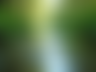 Top Tips for Successful Fly Fishing in Costa Rica