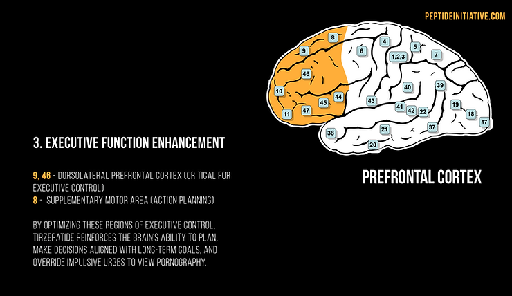 Tirzepatide supports the brains ability to plan, make decisions aligned with important life goals.
