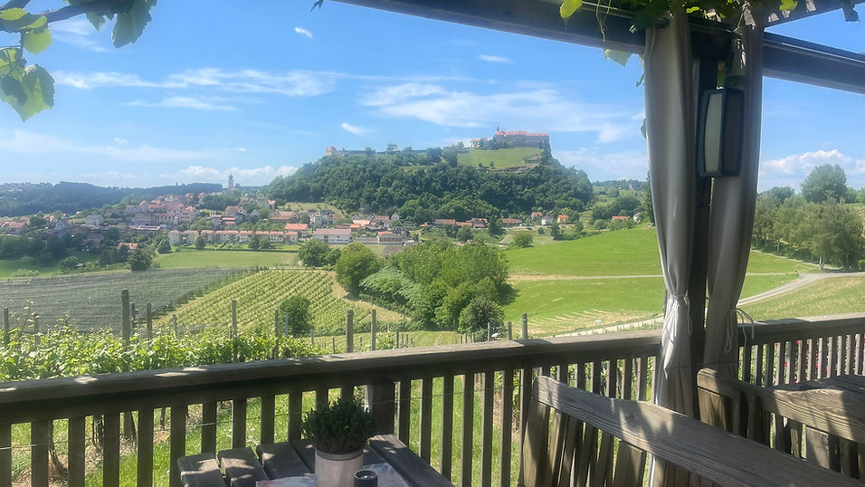 Die südoststeirische Hügellandschaft blickt auf eine spektakuläre, Millionen Jahre alte Vergangenheit zurück. Einst spuckten hier Vulkane Feuer und Lava, dort, wo sich heute Burgen, Schlösser und viele einladende Orte präsentieren. Die feurige Kraft ist bis heute zu spüren. Vieles ist voller positiver Energie und Authentizität, was dem genussfreudigen Gast geboten wird. Und vieles ist einfach köstlich! Hier in der kulinarischsten Region Österreichs, die auf über 600 km beschilderten Wanderwegen zur genussvollen Erkundung mit 4 km/h einlädt. Rund um die sich majestätisch erhebende Riegersburg liegt ein Wander- und Genussfleckerl vom Feinsten. Ein Tag voller bewegender und kulinarischer Genüsse darf erwartet werden!  Die Botschafterin der Region begleitet rund um die sagenumwobene Riegersburg mit Ortskenntnis und vielen Geschichten.
So kann Steiermark schmecken! 