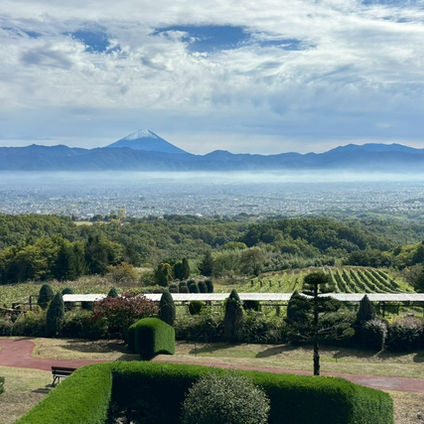 Tomi no Oka Winery--A Place Full of Nature Created by Suntory