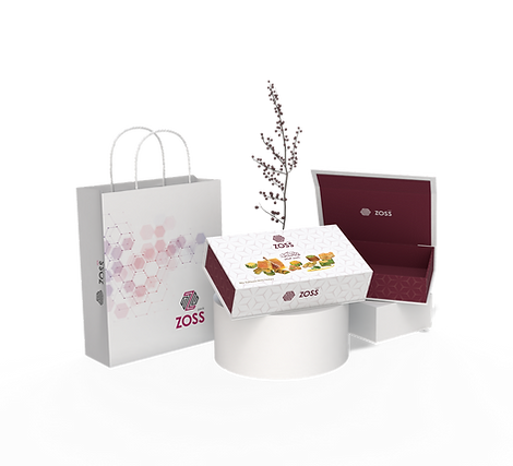 Render_Mockup_4000_3000_2024-12-27_edited.png