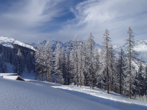 Paysage enneigé