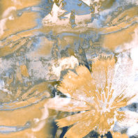 nature fleurs tableau création énergie vibratoire plantes champignons écorce lichen fréquence divin holistique magnétisme sylvothérapie arthérapie