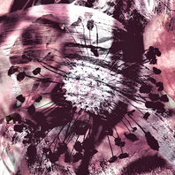 nature fleurs tableau création énergie vibratoire plantes champignons écorce lichen fréquence divin holistique magnétisme sylvothérapie arthérapie