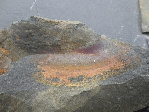 Roche coloré