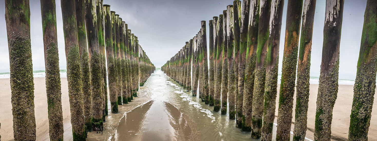 wooden-wave-breaking-installations-in-the-north-sea-zealand-the-netherlands.jpg