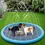 Miniatura: Piscina Divertida para Pets