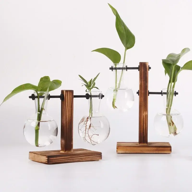 Miniatura: Terrário Hidropônico em Garrafa de Vidro