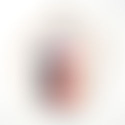 🪡 PALETTE DE COULEURS FILS MOULINÉS DMC - décembre