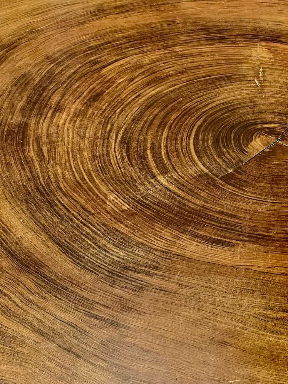Thumbnail: Gigantic tree slice coffee table, 1960's