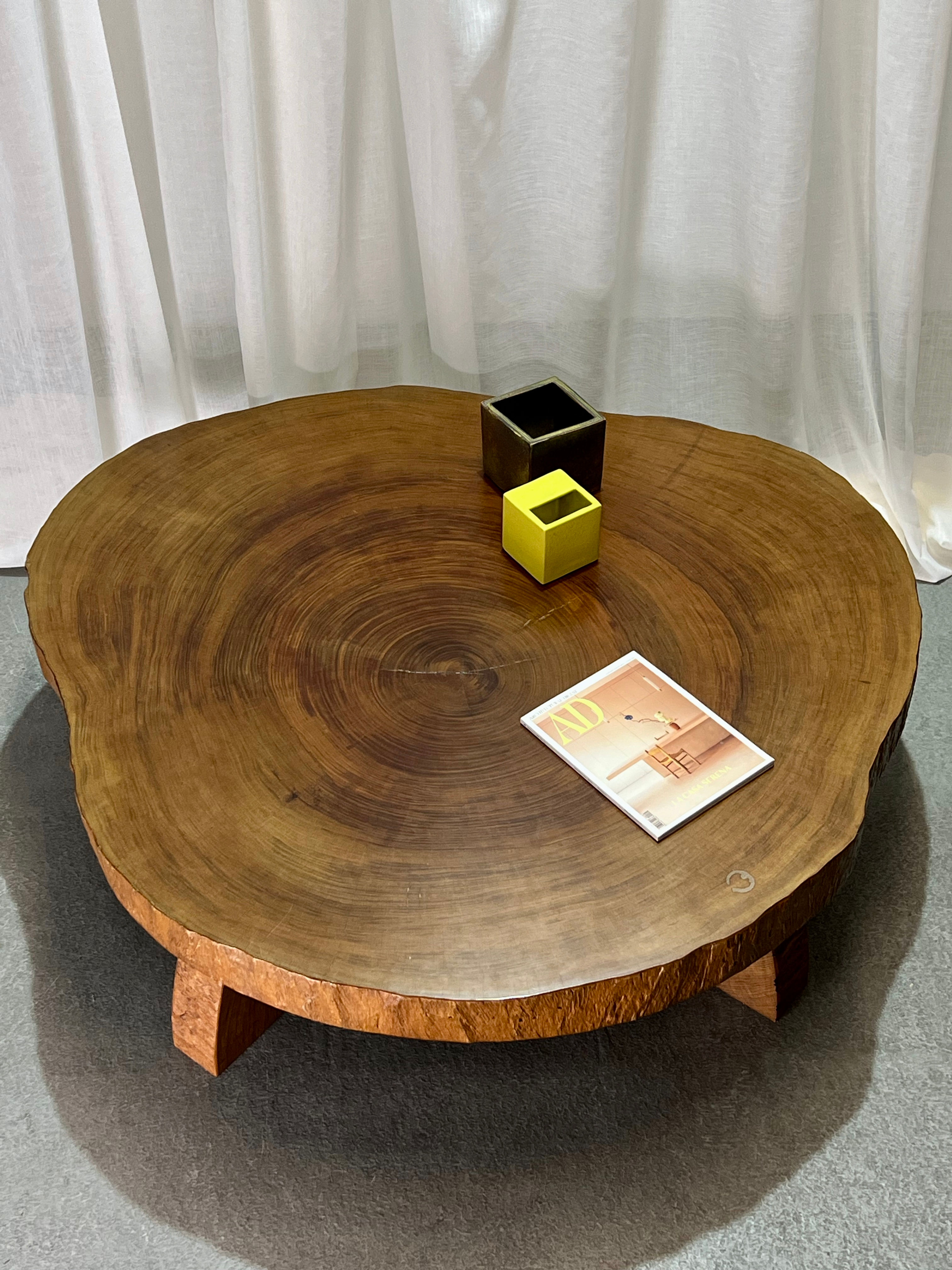 Gigantic tree slice coffee table, 1960's