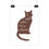Thumbnail: Personalised cat print