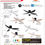 Thumbnail: FANCO RITO-5 SMART ceiling fan