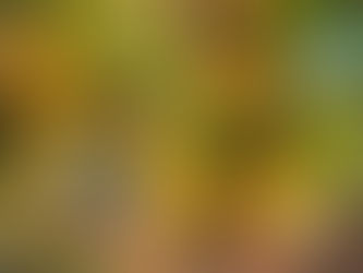 Se det hele lidt fra oven