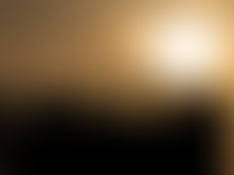 Vadehavet – et unikt sted for natur og fotografering