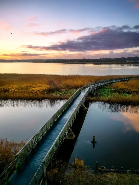Danmarks længste træbro i Skive