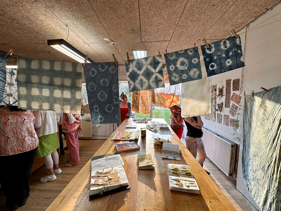 Højskole kursister kigger på plantefarvning