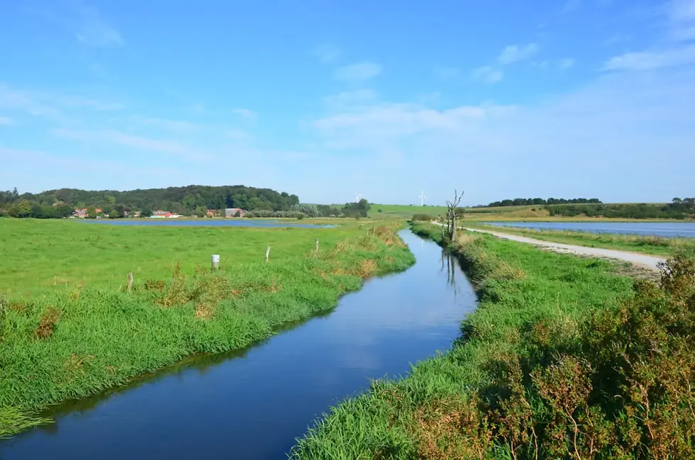 Udsigt over Jordbro Engsø