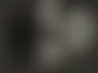 MODELUL DUBLU AL DOMINAȚIEI