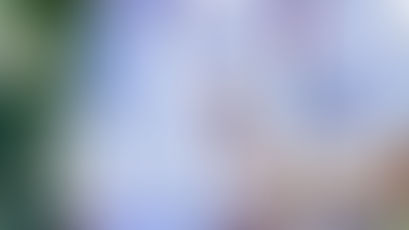 ONG-ISMUL: ARISTOCRAȚIA PRETINS MORALĂ A NOILOR TIMPURI