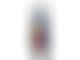 Votantul suveranist și votantul globalist