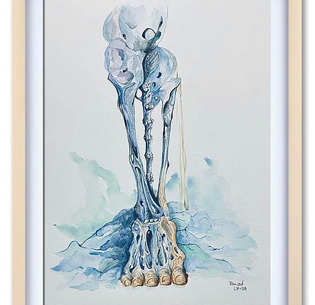 pierna desarticulada 3024